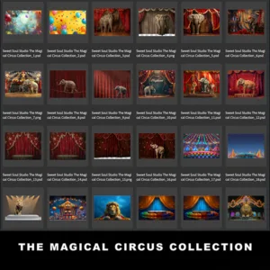 The Magical Circus Collection