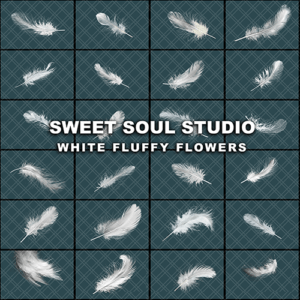 White Fluffy Feathers