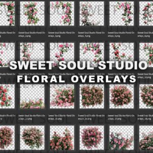 Floral Overlays