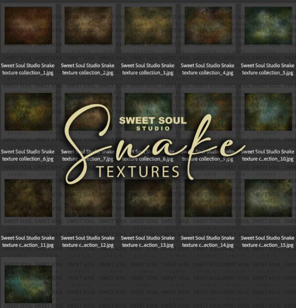 The Snake Textures