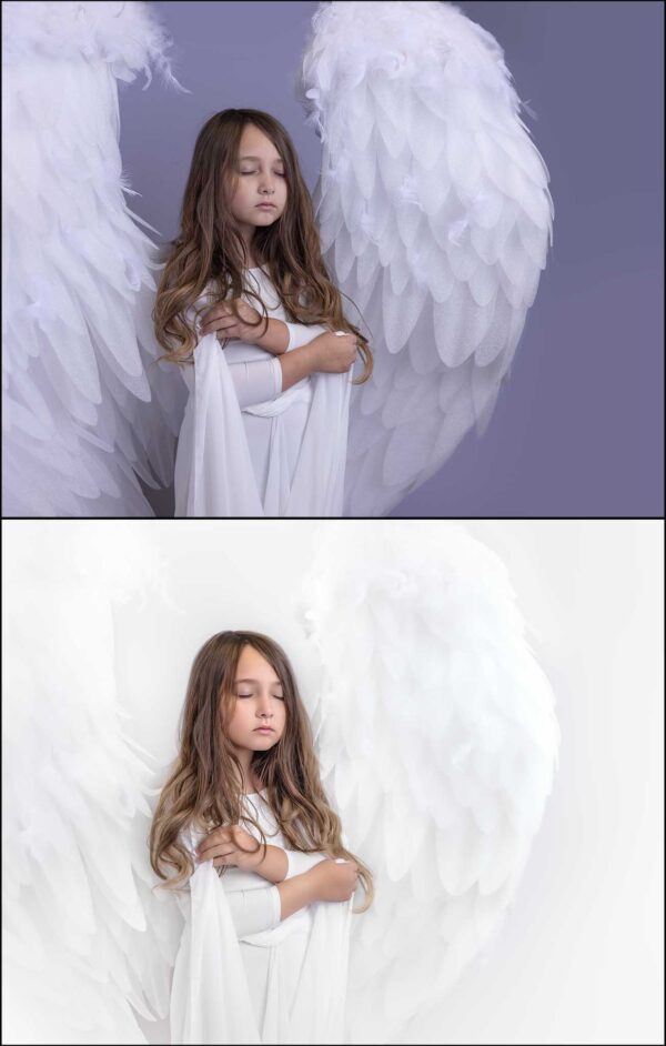The Essential White Collection - Image 4