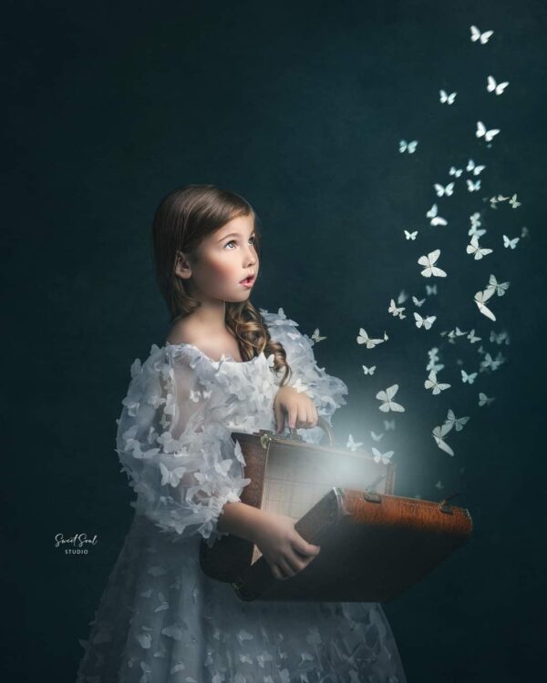 White Butterflies in the light