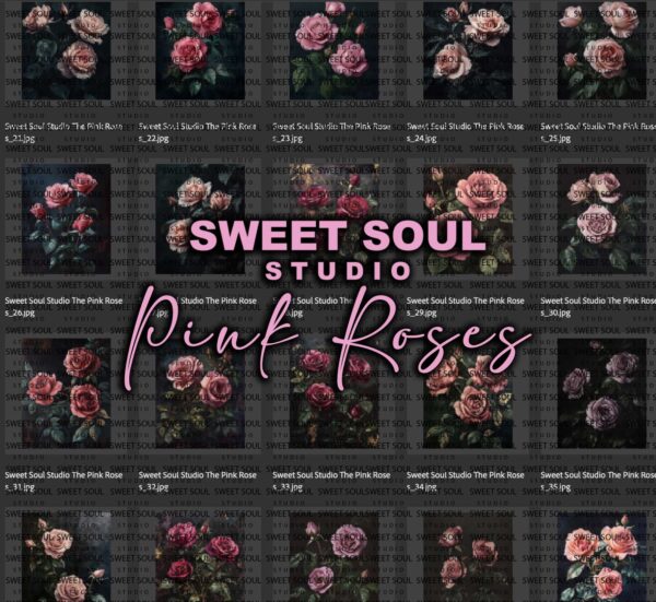Pink Roses - Image 2