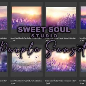 Purple Sunset