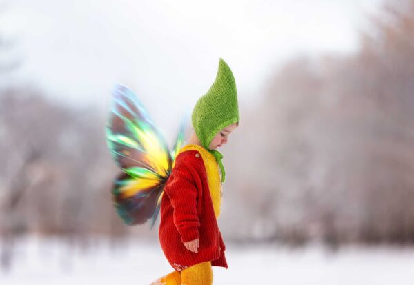 Translucent Fairy Wings - Image 10