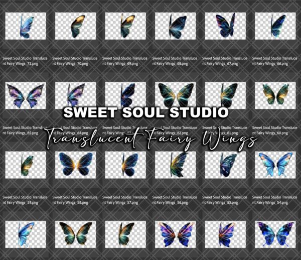 Translucent Fairy Wings - Image 5