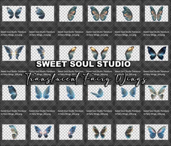 Translucent Fairy Wings - Image 6