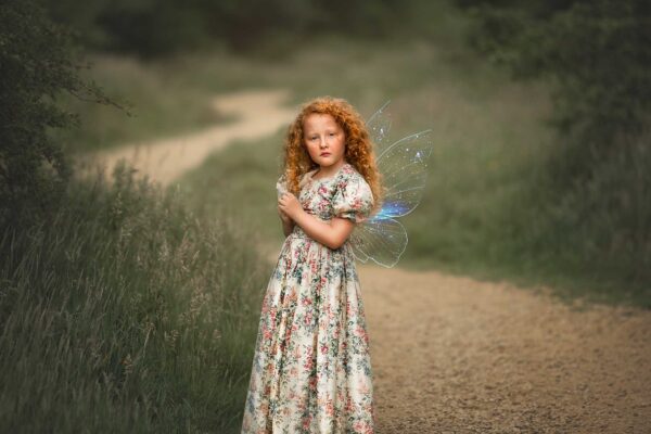 Translucent Fairy Wings - Image 11