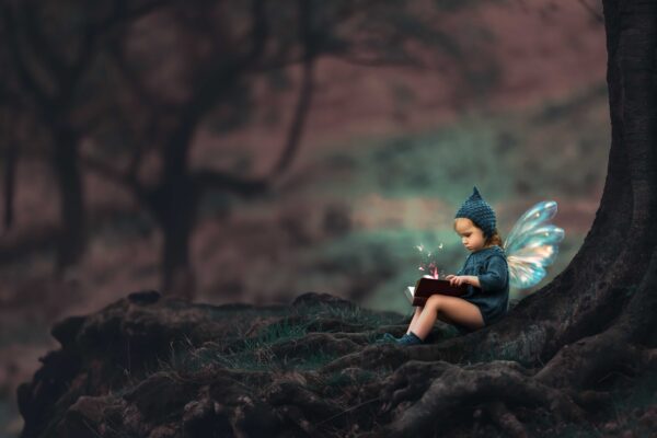 Translucent Fairy Wings - Image 12