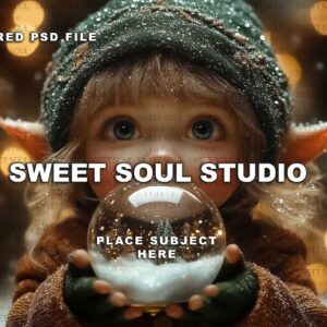The Elf's Snowglobe