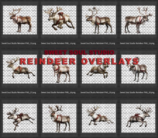 Reindeer PNG Overlays - Image 2