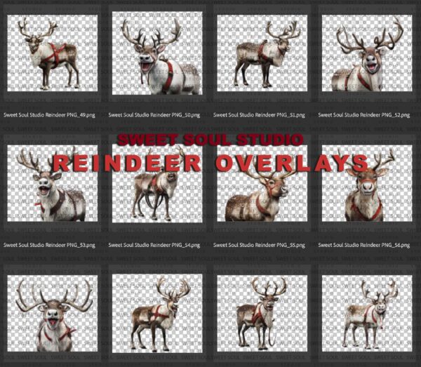Reindeer PNG Overlays - Image 5