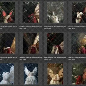 Christmas Fairy Portraits