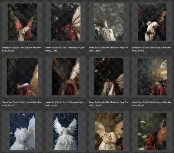 Christmas Fairy Portraits