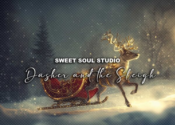Dasher and the Sleigh
