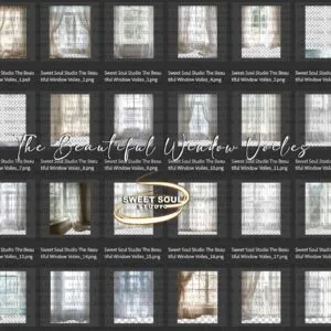 The Beautiful Window Voiles