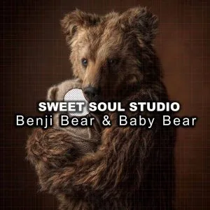 Benji bear and baby bear