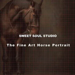 The Fine Art Horse Portrait