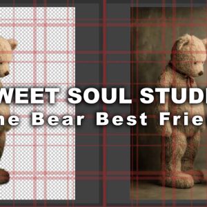 The Bear Best Friend