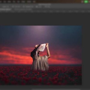 How to use the Poppy Field backgrounds