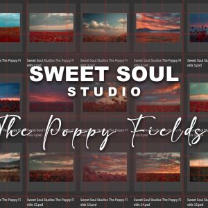 The Poppy Fields