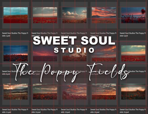The Poppy Fields