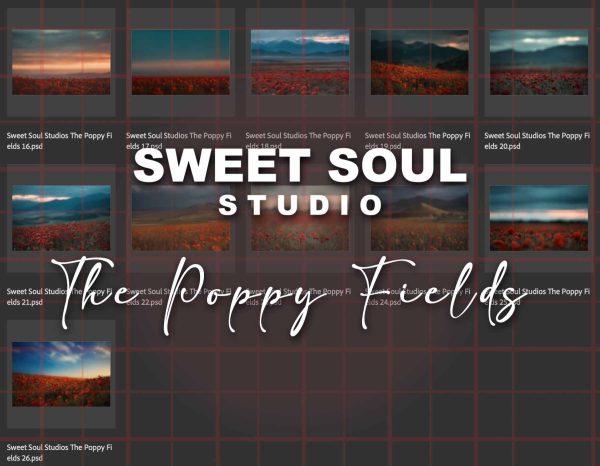 The Poppy Fields - Image 2