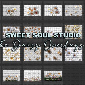 Daisy Overlays