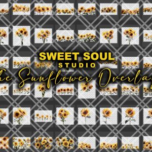 The Sunflower Overlays