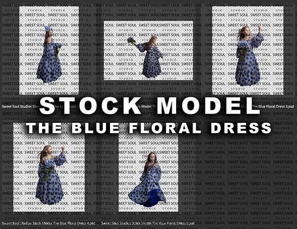 Stock model - The Blue Floral Dress