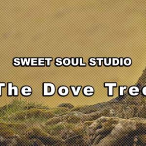The Dove Tree