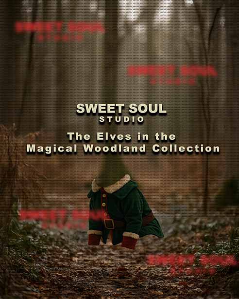 The Elf in the Magical Woodlands Collection Pet Background 1