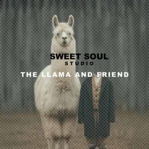 The Llama and friend