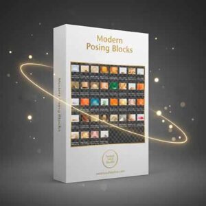 The Modern Posing Blocks