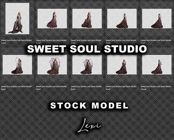 Stock model - Lexi