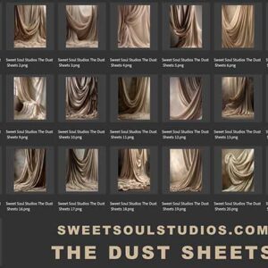 The Dust Sheets
