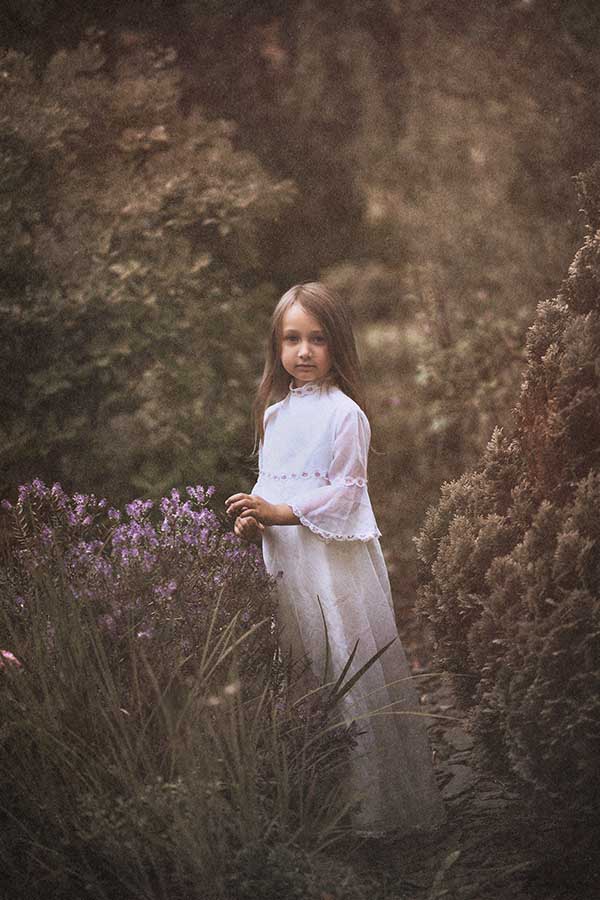 The Nostalgia Collection - Image 3