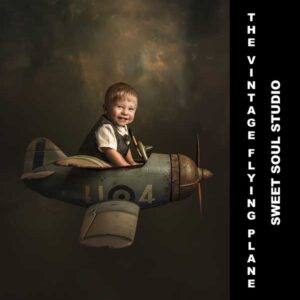 The Vintage Flying Plane