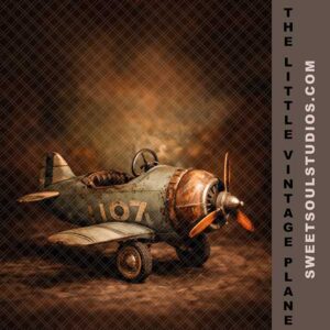 The Little Vintage Plane