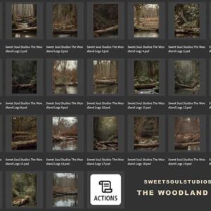 The Woodland Logs Collection