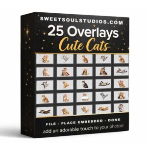 The Cat overlays