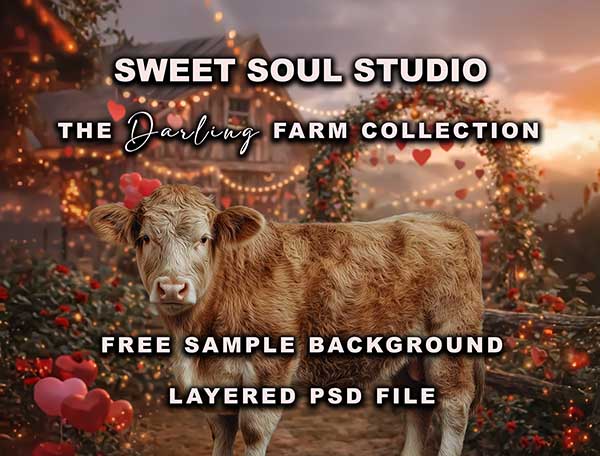 The Darling Farm Collection - Image 7