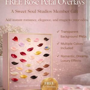 The Falling Rose Petals