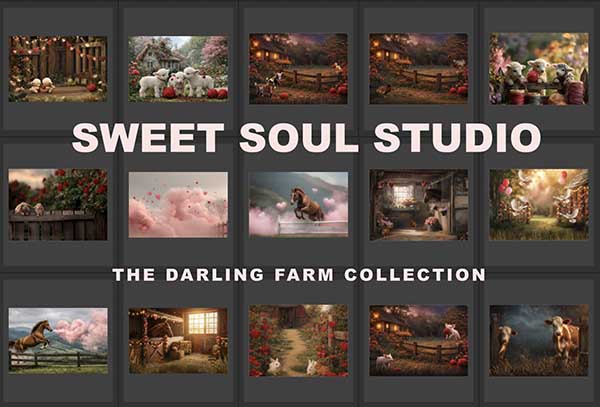 The Darling Farm Collection - Image 3