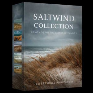 The Saltwind Collection