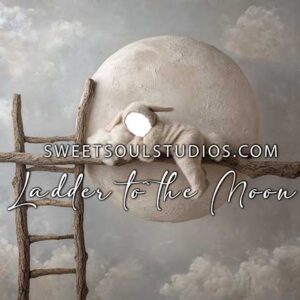 Ladder to the Moon