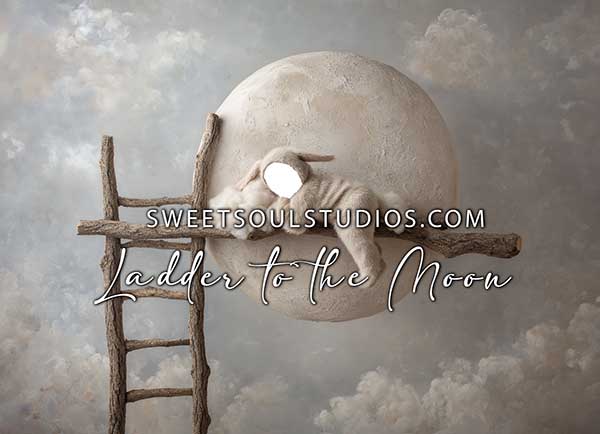 Ladder to the Moon