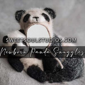 Newborn Panda Snuggles