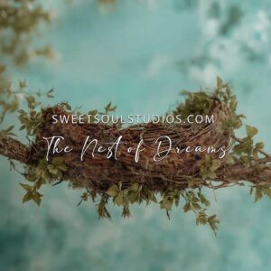 The Nest of Dreams