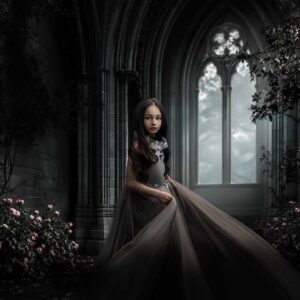 The Shady Castle